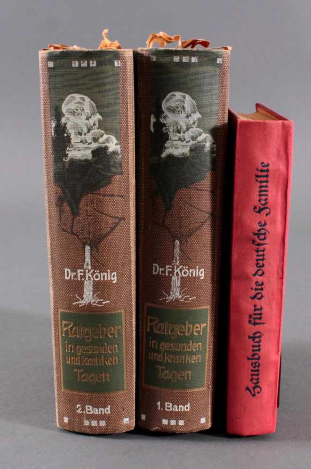 3 Bücher zum Thema GesundheitRatgeber in gesunden und in kranken Tagen von Dr. F. König,15 Auflage