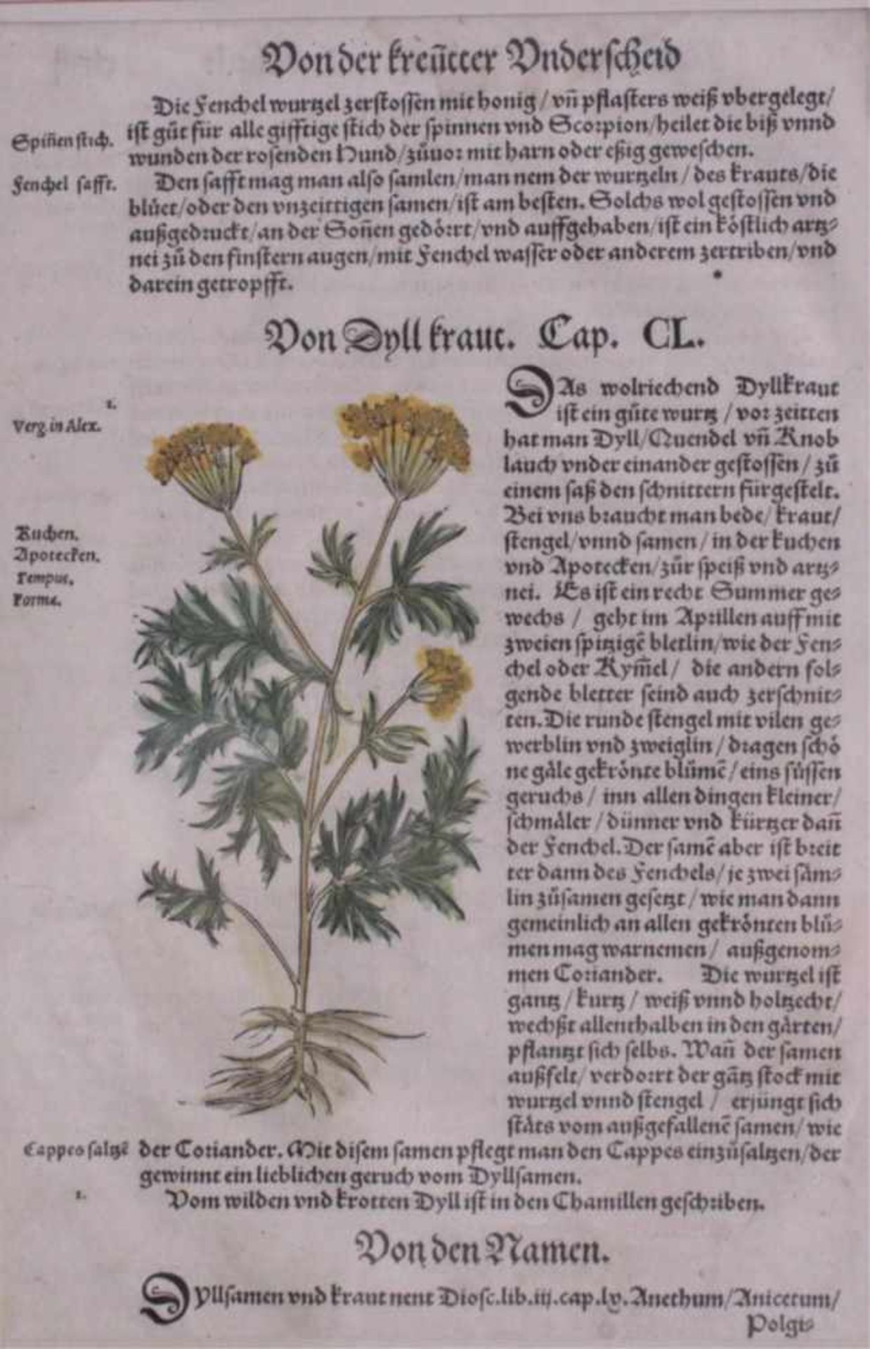 Konvolut Grafik und Apotheken Rezepte v. 250 Jahren2 Holzschnitte handkoloriert von 1550.1 - Image 8 of 9