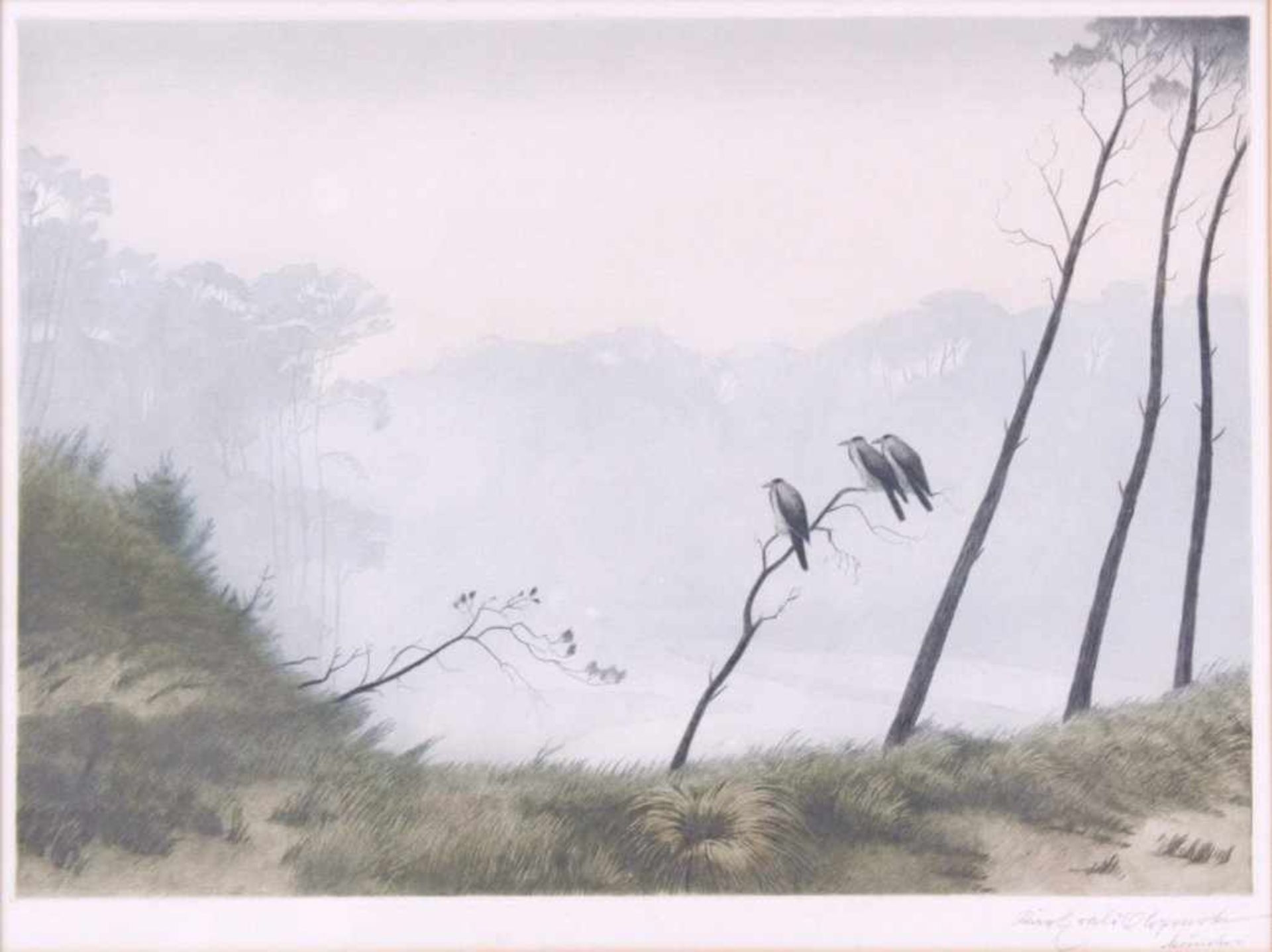 Karl Ewald Olszewski 1884-1965Aquarell auf Papier, 3 auf einem Ast sitzende Nebelkrähen,unten rechts