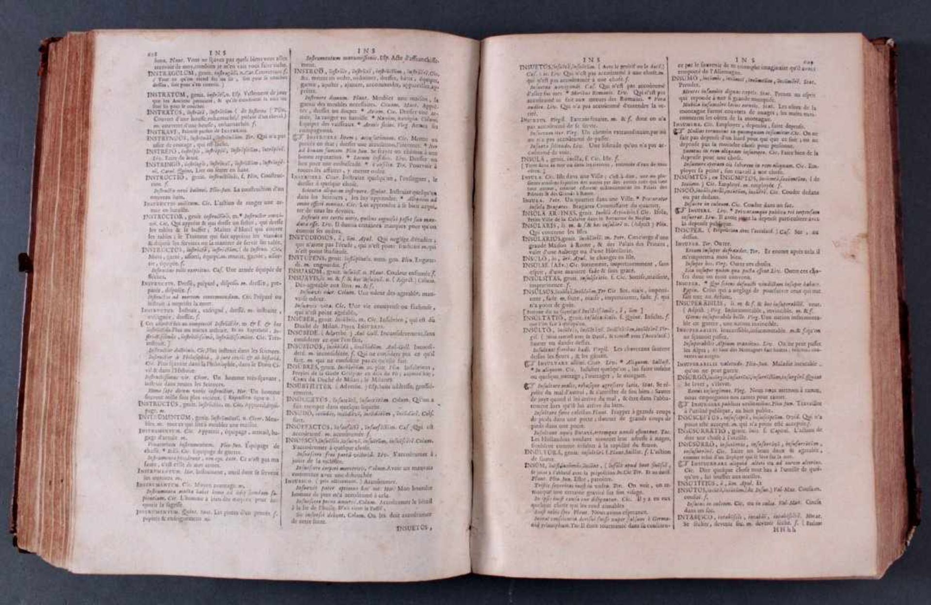 Magnum dictionarium Latinum et GallicumDatiert 1726, beschädigtes Rückenschild, Stück mit Schrift: - Bild 4 aus 4