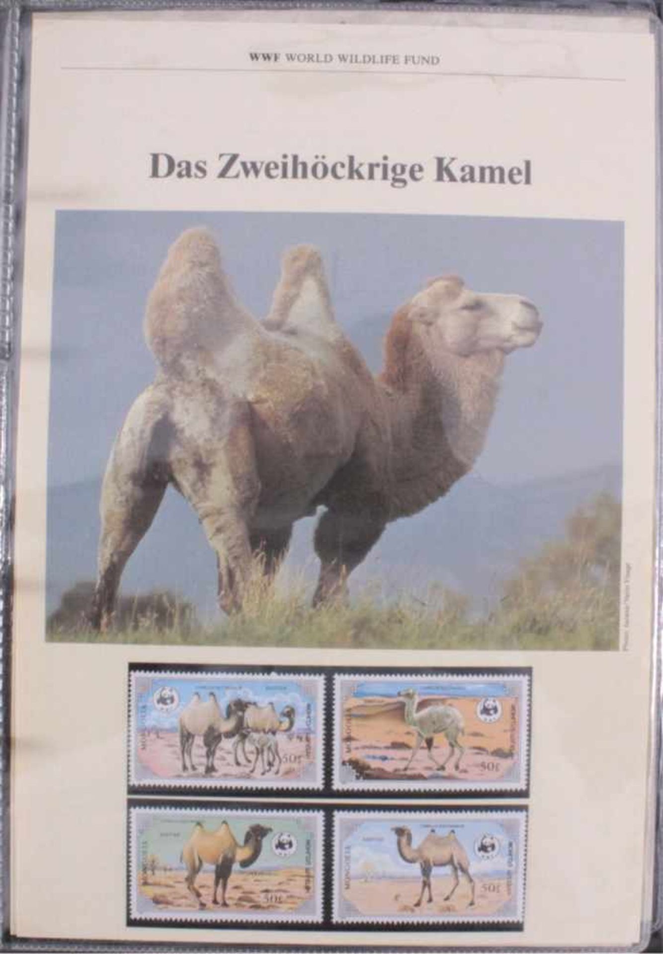 WWF Sammlung in 6 AlbenMünzen, Briefmarken und Einlegeblätter wie im Abobezogen. Insgesamt 21 - Bild 6 aus 6