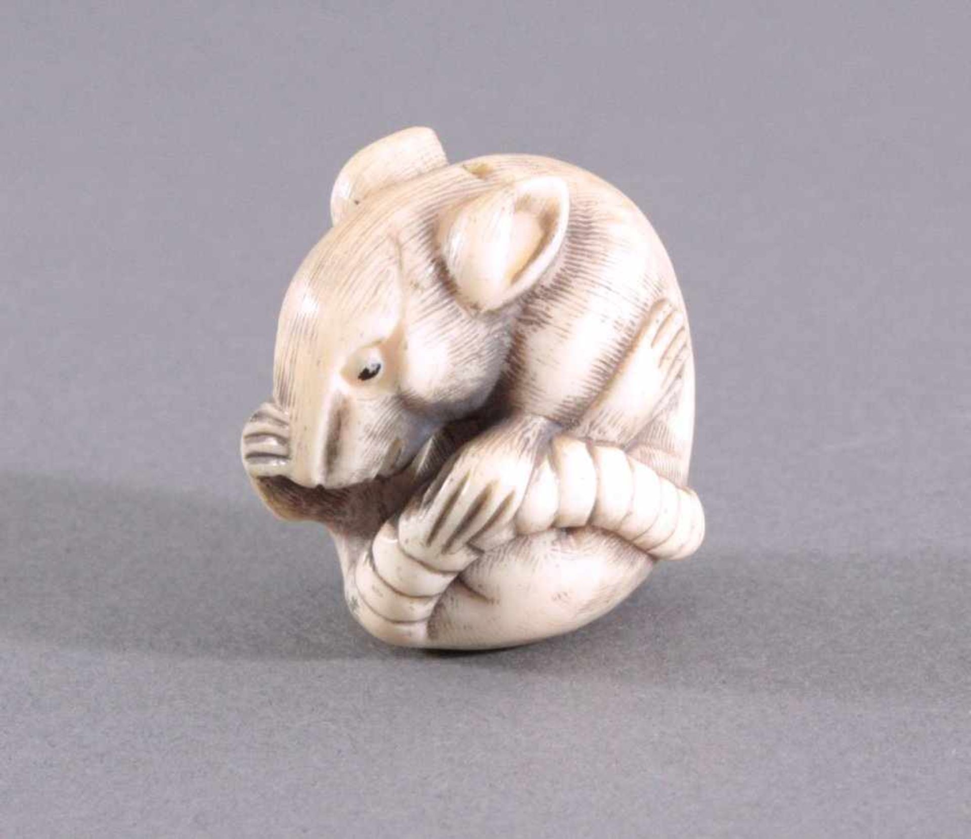 Netsuke, Japan 1. Hälfte 20. Jh., Elfenbein geschnitztVollplastische Schnitzerei, sich putzende - Bild 2 aus 5