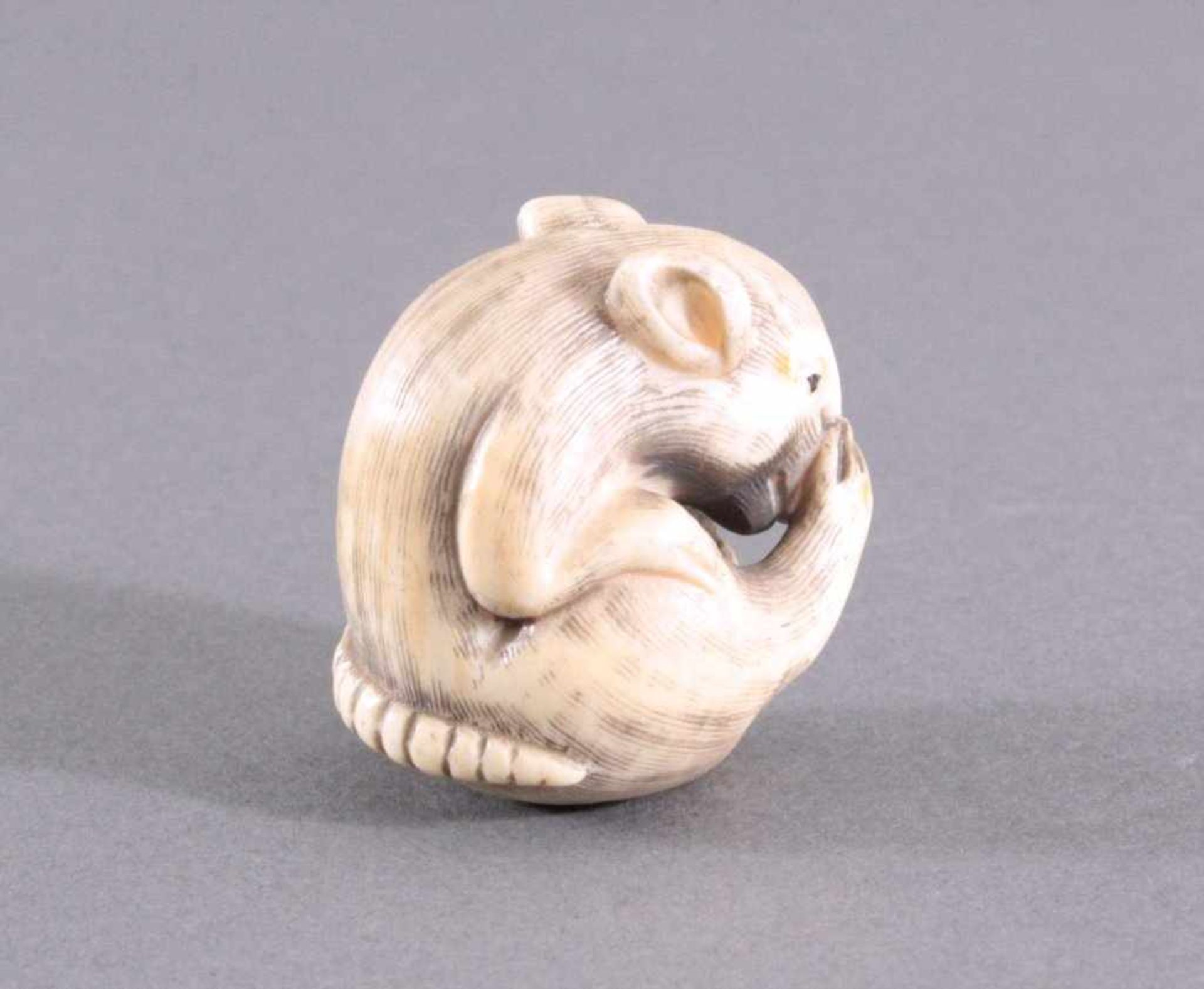 Netsuke, Japan 1. Hälfte 20. Jh., Elfenbein geschnitztVollplastische Schnitzerei, sich putzende - Bild 4 aus 5