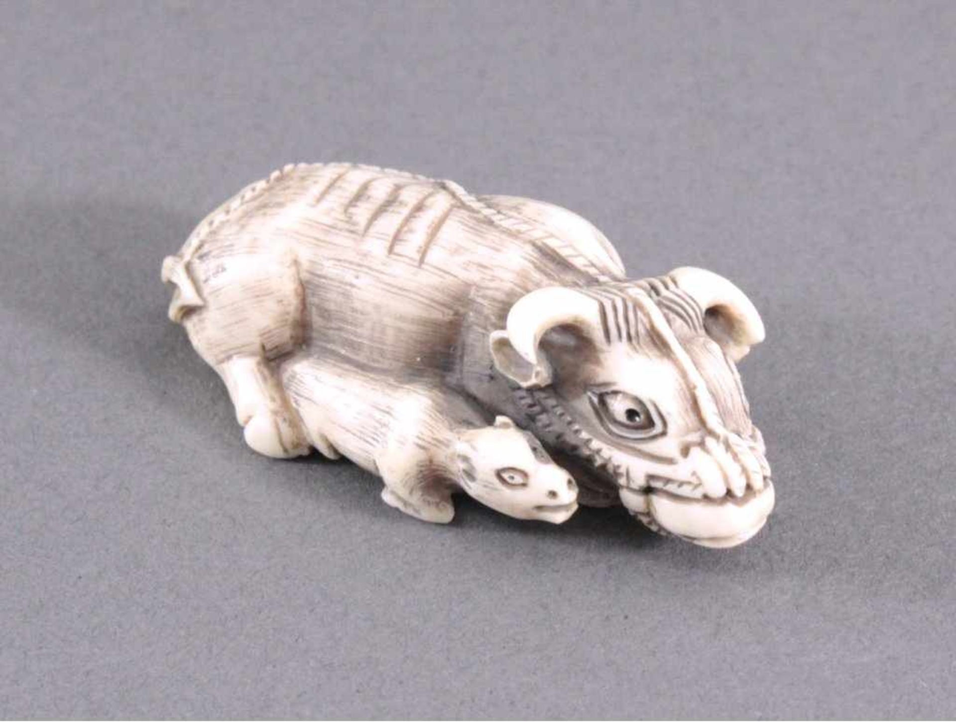 Netsuke, Japan 1. Hälfte 20. Jh., Elfenbein geschnitztVollplastische Schnitzerei, Wasserbüffel mit