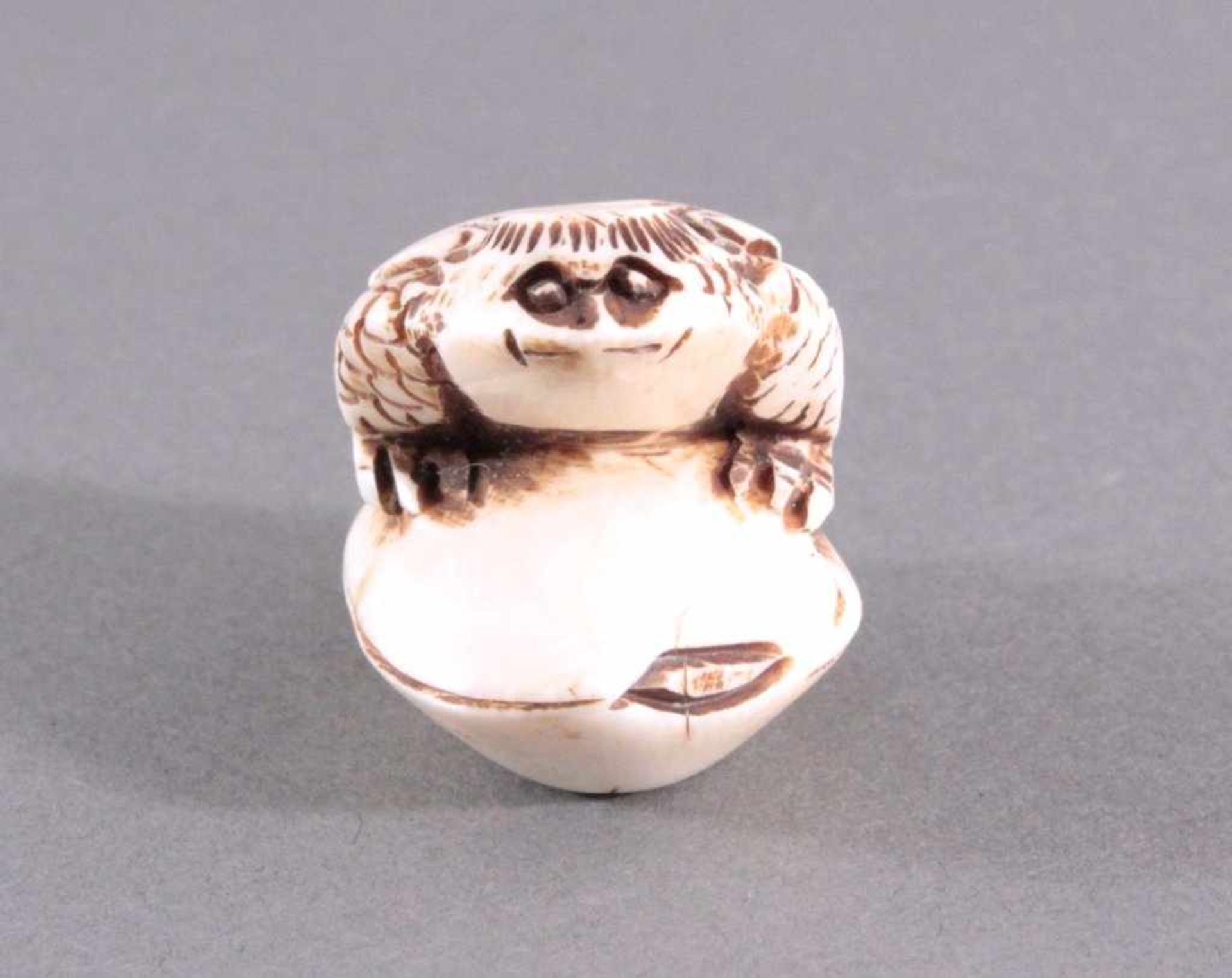 Netsuke, Japan 1. Hälfte 20. Jh., Elfenbein geschnitztVollplastische Schnitzerei, Schildkröte auf - Bild 2 aus 5