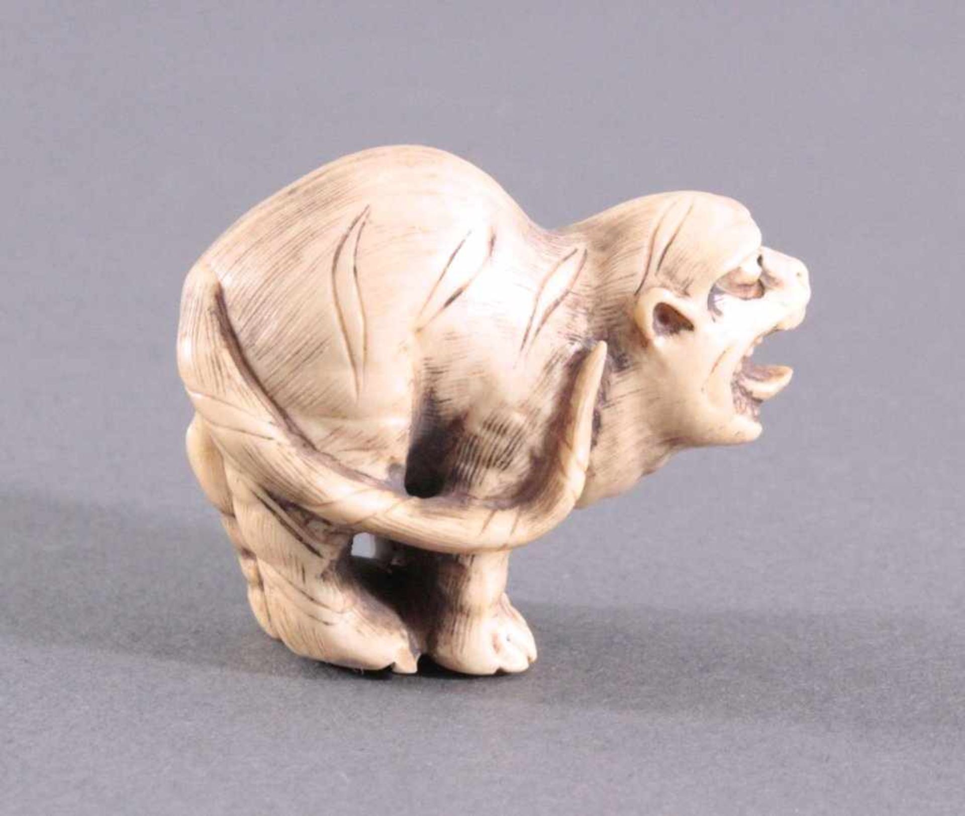 Netsuke, Japan 1. Hälfte 20. Jh., Elfenbein geschnitztVollplastische Schnitzerei, signiert, Hund,ca. - Bild 2 aus 4