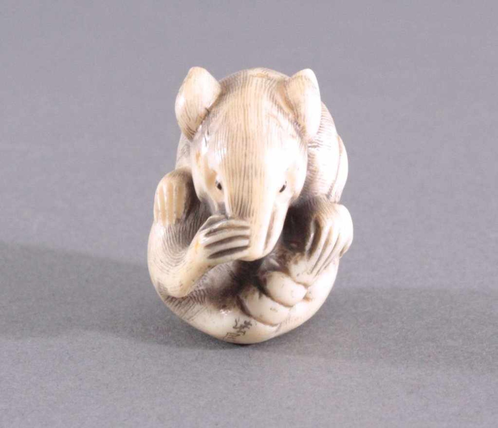 Netsuke, Japan 1. Hälfte 20. Jh., Elfenbein geschnitztVollplastische Schnitzerei, sich putzende