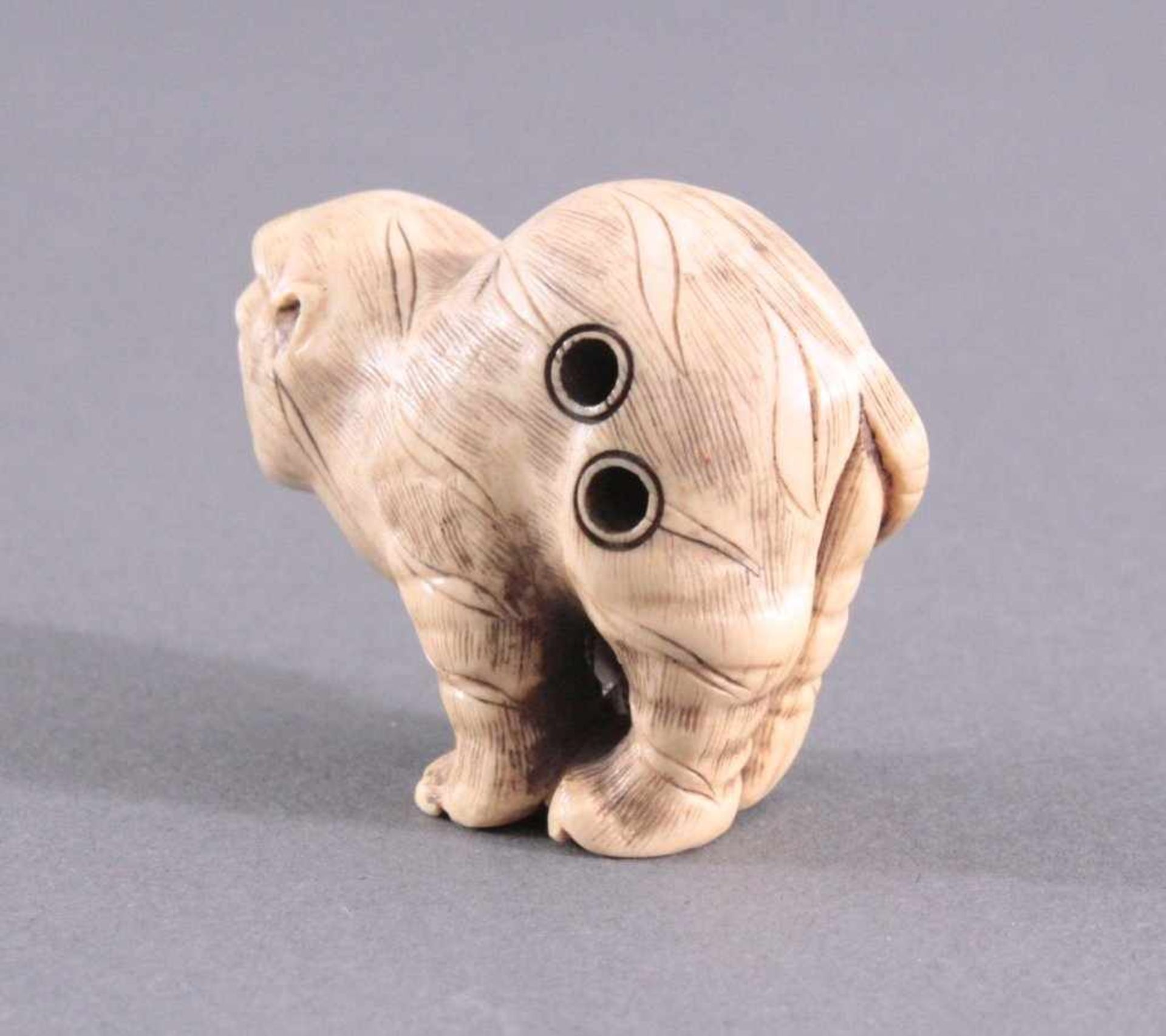 Netsuke, Japan 1. Hälfte 20. Jh., Elfenbein geschnitztVollplastische Schnitzerei, signiert, Hund,ca. - Bild 3 aus 4