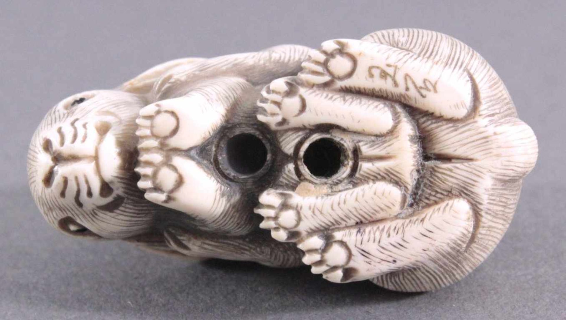 Netsuke, Japan 1. Hälfte 20. Jh., Elfenbein geschnitztVollplastische Schnitzerei, rammelnde Hasen, - Bild 5 aus 5