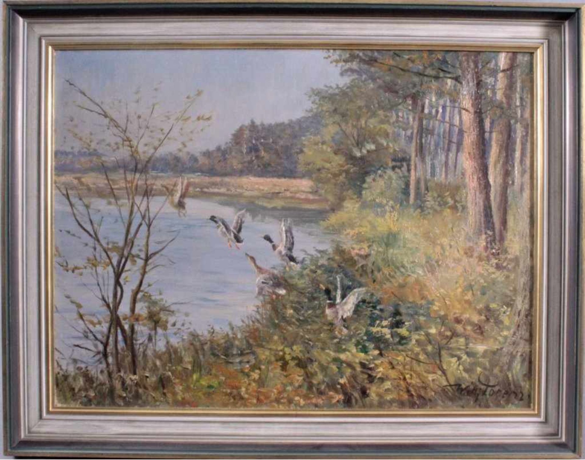 Willi Lorenz 1901-1981. Aufsteigende Enten am SeeÖl auf Leinwand gemalt, unten rechts signiert,