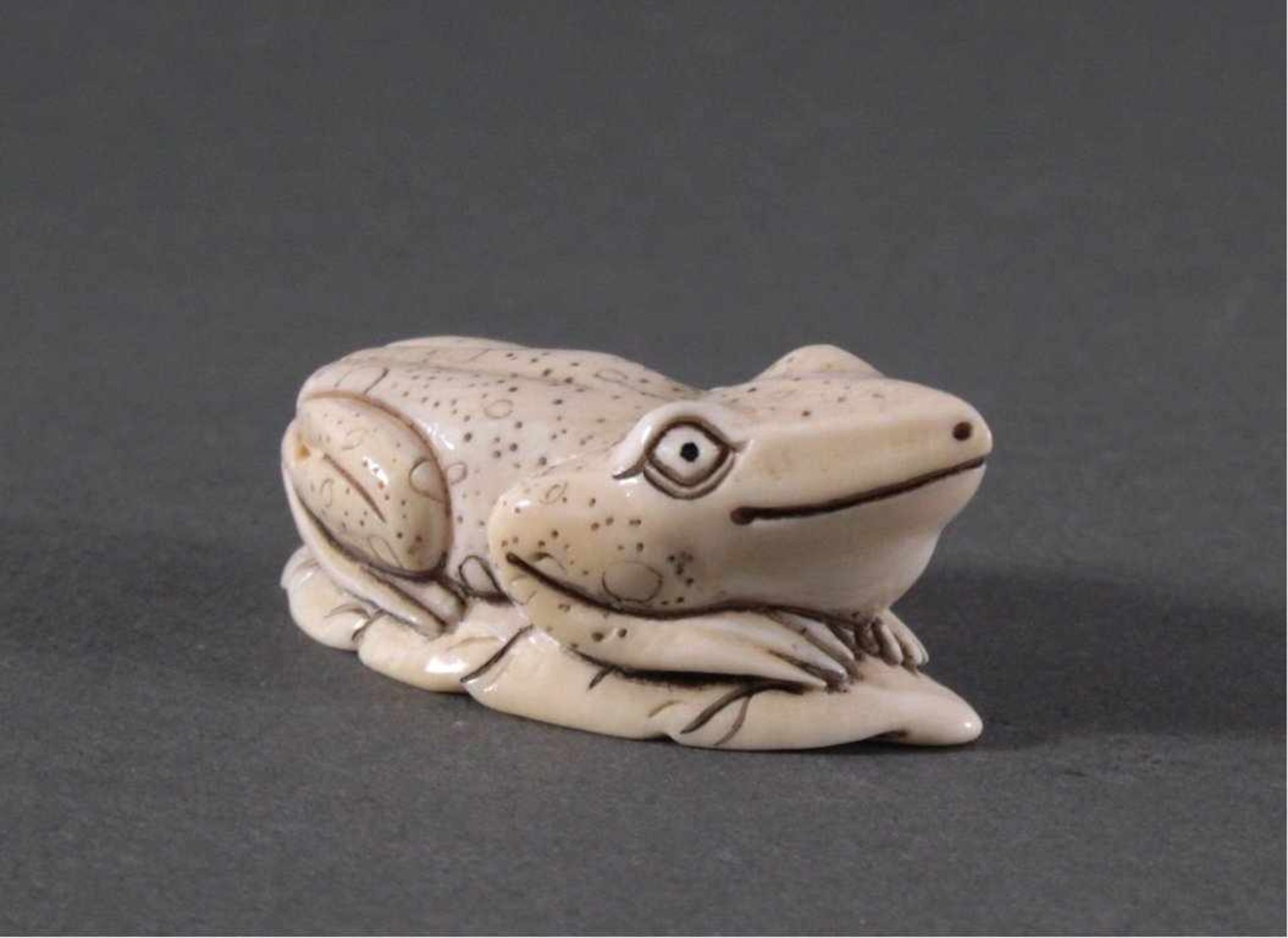 Netsuke, Japan 1. Hälfte 20. Jh., Elfenbein geschnitztAuf einem Blatt sitzender Frosch, signiert,ca. - Image 2 of 5