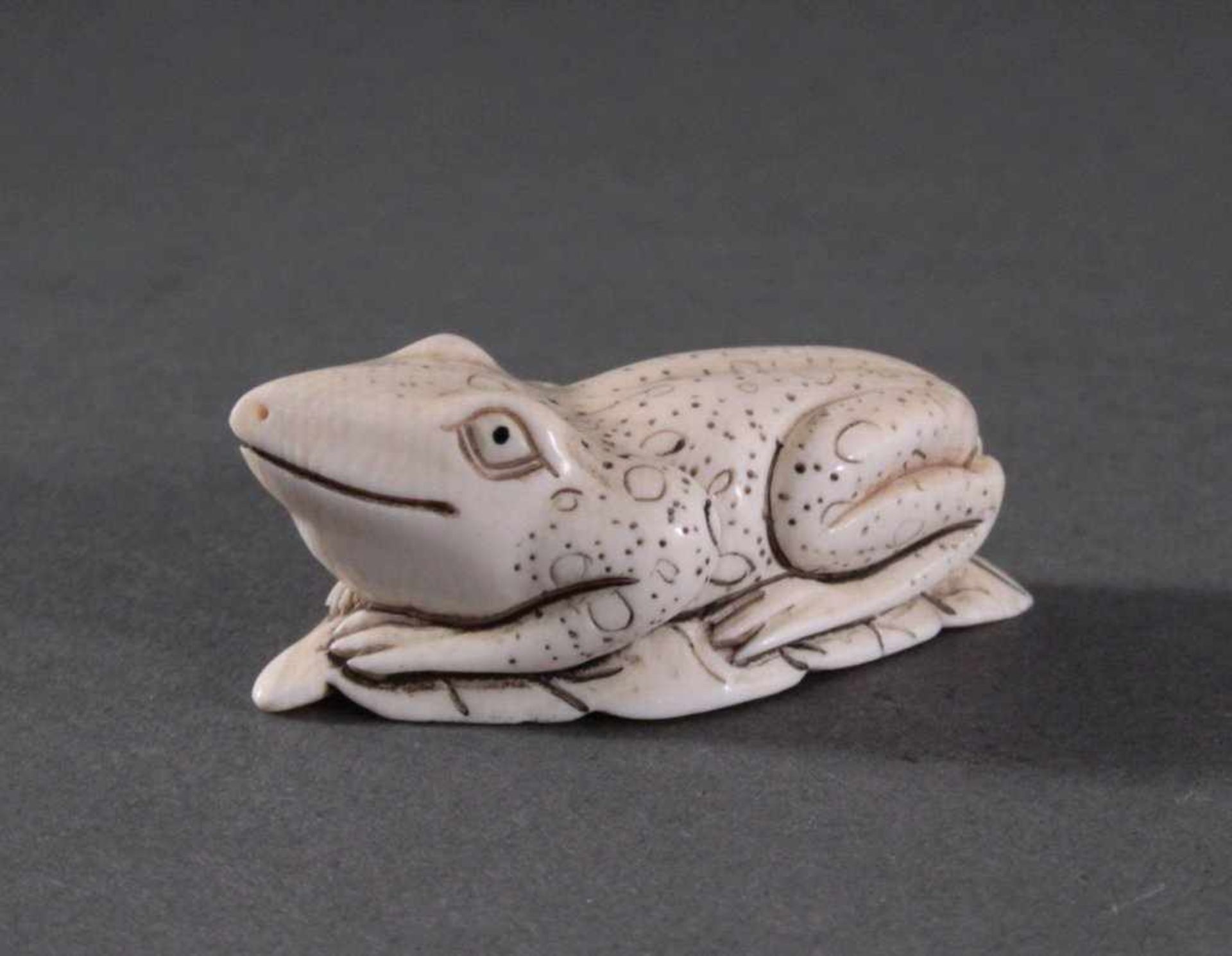 Netsuke, Japan 1. Hälfte 20. Jh., Elfenbein geschnitztAuf einem Blatt sitzender Frosch, signiert,ca.