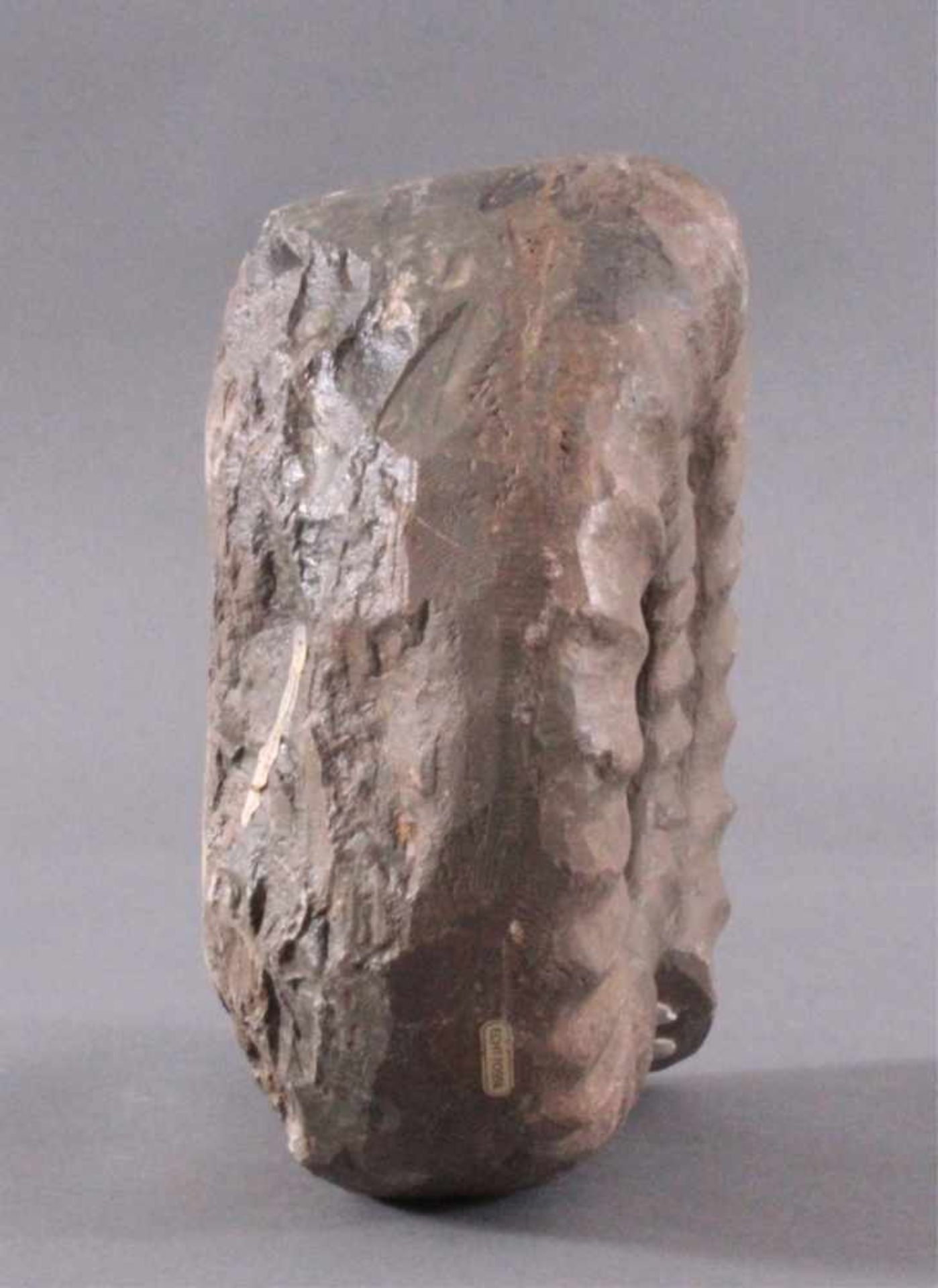 Sehr großer Ammonit, Durchmesser 33 cm, Museal, ArietitesMineral: Dogger, Schwäb. Jura, ca. 150 - Bild 3 aus 4