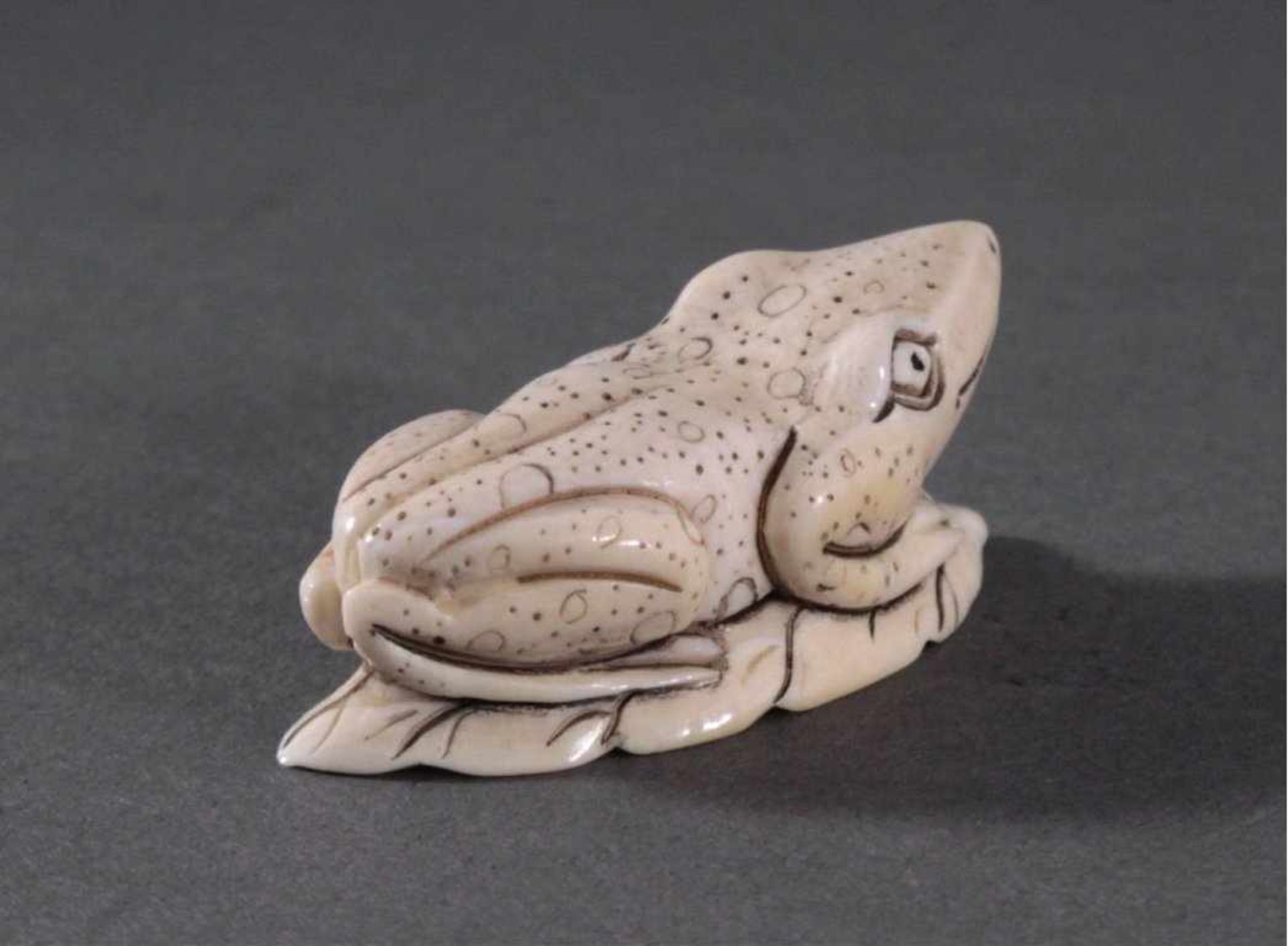 Netsuke, Japan 1. Hälfte 20. Jh., Elfenbein geschnitztAuf einem Blatt sitzender Frosch, signiert,ca. - Image 3 of 5