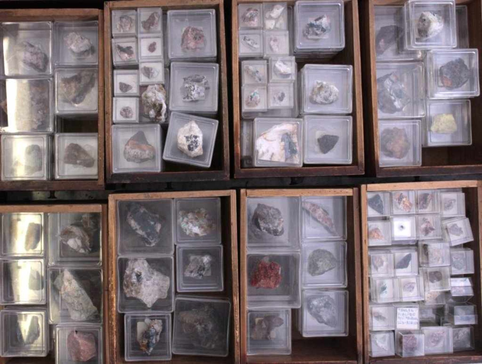 Sammlung MineralienEinige hundert Stück in Plexiglaskästen, überwiegendbeschriftet mit Bennenung und - Bild 5 aus 5