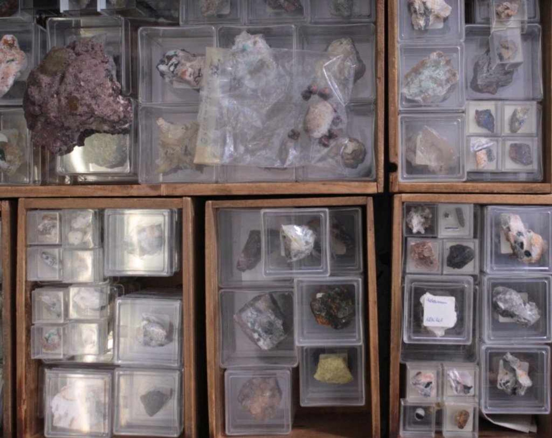 Sammlung MineralienEinige hundert Stück in Plexiglaskästen, überwiegendbeschriftet mit Bennenung und - Bild 4 aus 5