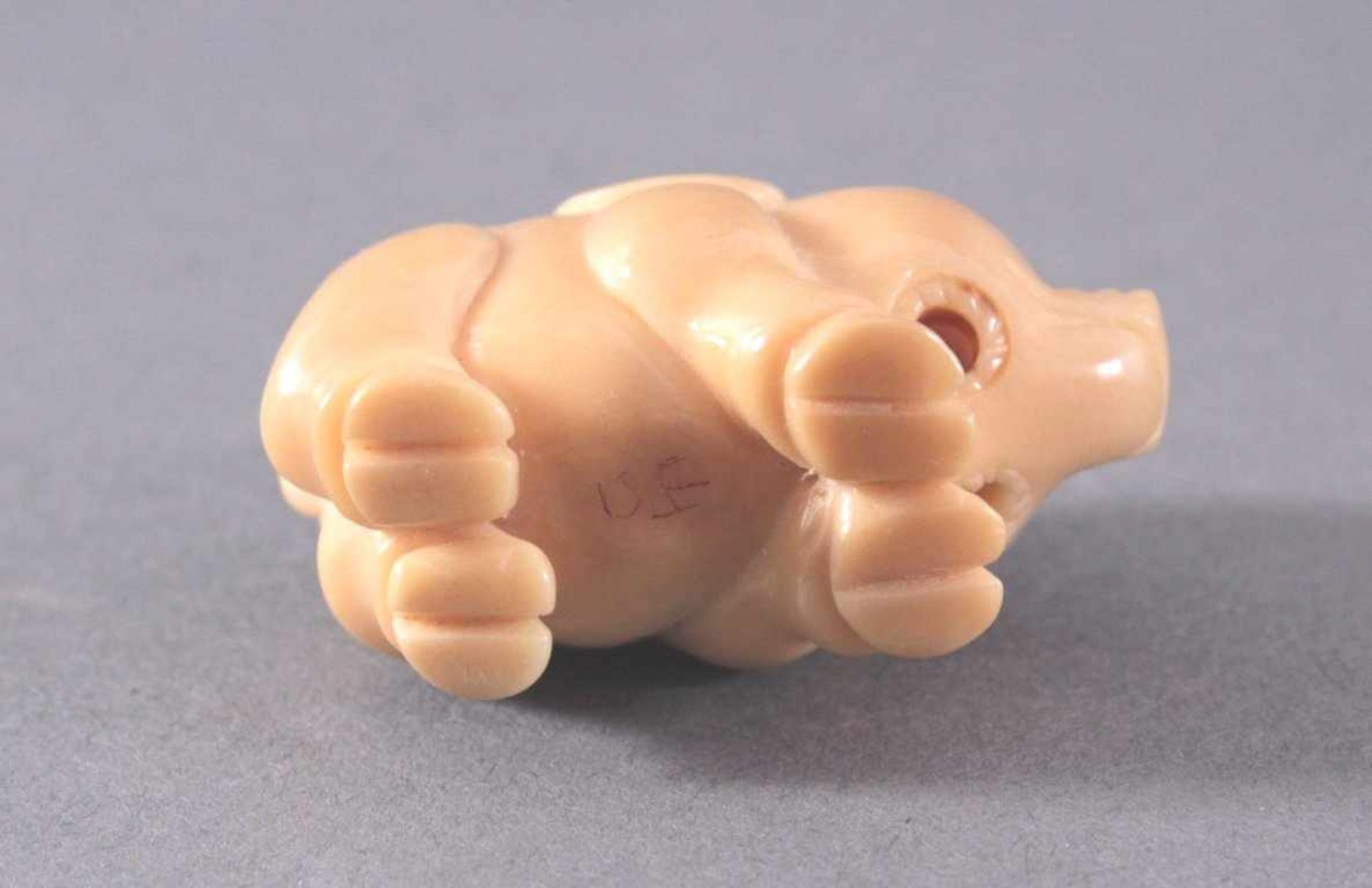 Tagua-Nuss, Steinnussfiguren, Japan. 4 StückHund, zwei Schweinen (einmal Netsuke) und Frosch, ca. - Bild 4 aus 4