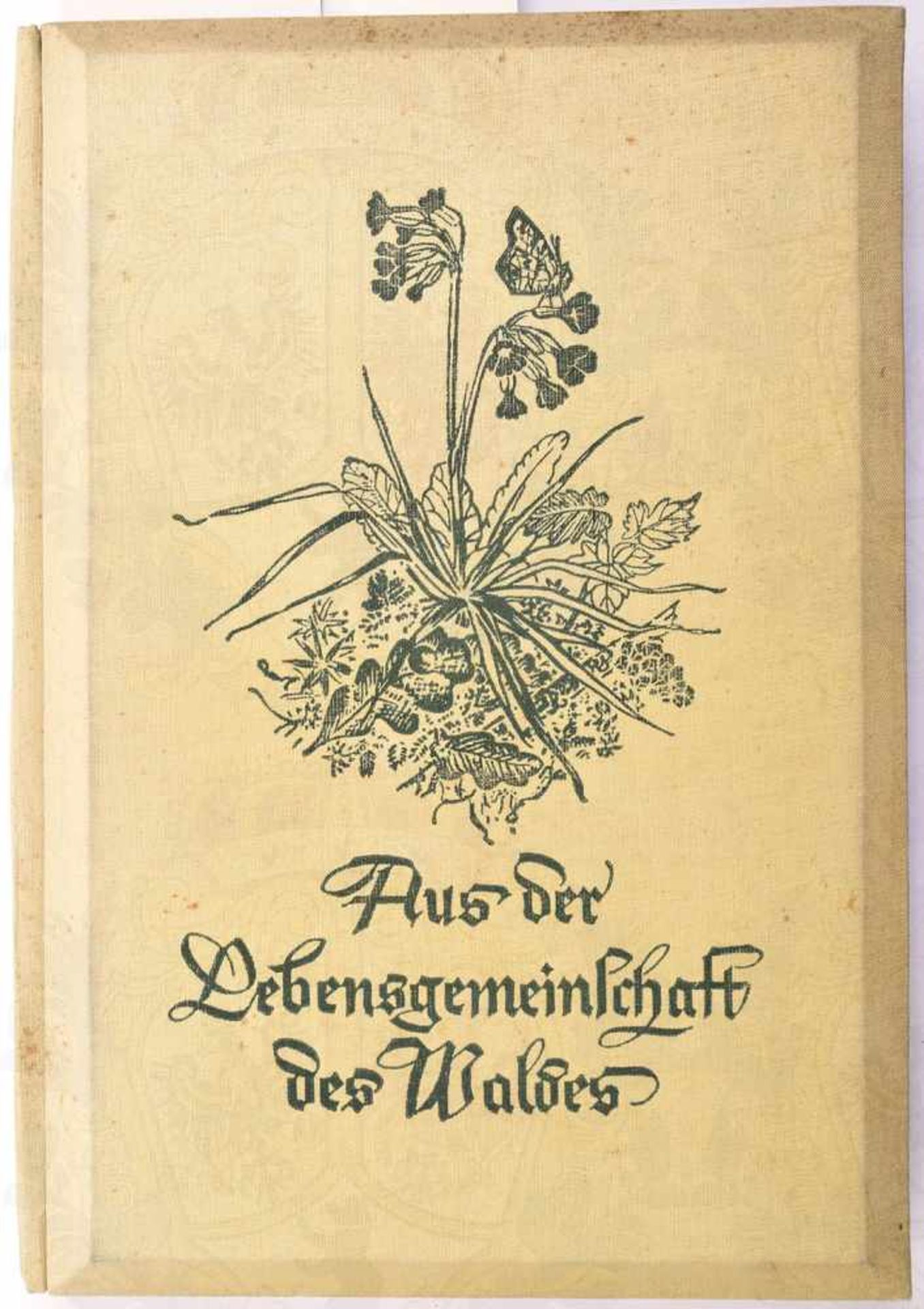 AUS DER LEBENSGEMEINSCHAFT DES WALDES, Schönstein Raumbild-Verlag, München 1939, 120 S., 150 Bilder,