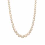 Gradient pearls necklaceGradient pearls necklacePlatinum, brilliant cut diamonds, 0.25 cts, and