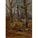 John Cuthbert Salmon (1844 - 1917) Nr Betsy-y-Coed, North Wales signed, watercolour, 24cm x 16.