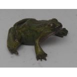 An early 20th century Austrian cold-painted cabinet bronze, of a green frog,