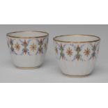 A pair of Pinxton Bute shaped fluted tea bowls,