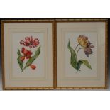 Sefan Nowacki (contemporary) A Pair, Botanical Studies, Tulips signed, watercolours,