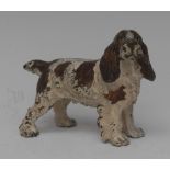 An early 20th century Austrian cold-painted cabinet bronze, of a cocker spaniel, 7cm high,