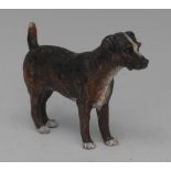 An early 20th century Austrian cold-painted cabinet bronze, of a terrier,