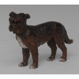 An early 20th century Austrian cold-painted cabinet bronze, of a terrier,