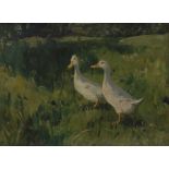 Charles Simpson (1878-1942) Two White Geese signed, oil on canvas, 26.