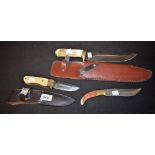 Knives - a damascus steel horn handled straight bladed knife,