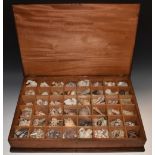 Natural History - a 19th century mahogany rectangular table-top collector's specimen box,