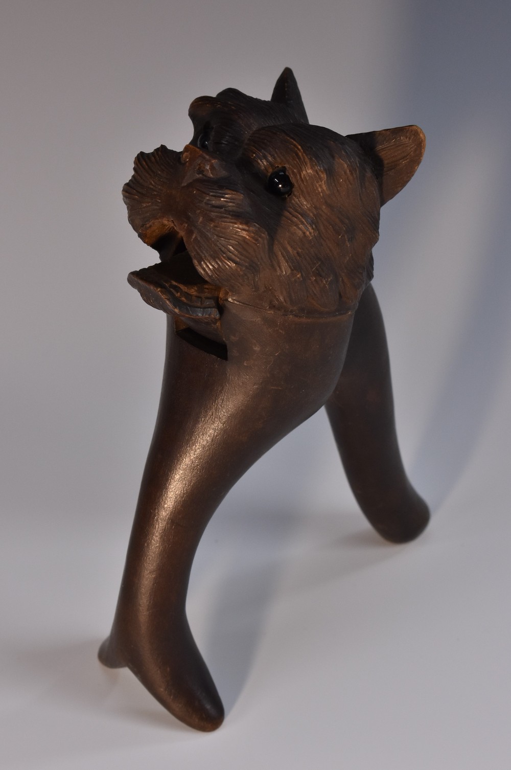 A Black Forest novelty lever-action nutcracker, carved as the head of a terrier dog, glass eyes, 16.