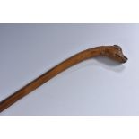 A 19th century walking cane, the pommel carvedas the head of a dog, inset bone eyes,