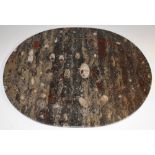 Natural History - a large oval plate, formed from a polished orthoceras specimen,