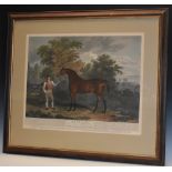 Horse Racing - J Scott, by, C. Tomson of Nottingham, after, Orville, Late the Property of His R.H.