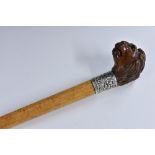 A silver mounted gentleman's walking cane, the mahogany pommel carved as the head of a lion,