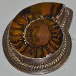 A silver mounted ammonite fossil brooch stamped AIS and Birmingham import mark gross weight 31.