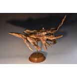 Natural History - a root wood specimen, turned oak display plinth, 45cm high overall,