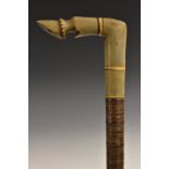 A 19th century novelty horn and specimen wood walking stick, the handle carved as a horse's fetlock,
