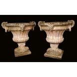 A pair of large Neo-Classical reconstituted fluted campana garden urns, square bases, 69cm high,