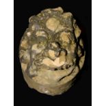 A Medieval limestone corbel, carved as a grotesque foliate mask, 21cm high, 37cm deep,