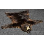 Taxidermy - a Victorian bear skin rug,