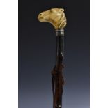 A 19th century novelty walking stick, the pommel carved as a horse's head, gilt-brass ferrule,