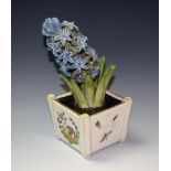 A continental model, of a Hyacinth in a tapering square pot,