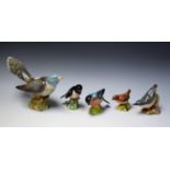A Beswick ceramic model, Pigeon 2315; others, Nuthatch, Stonechat, Wren,