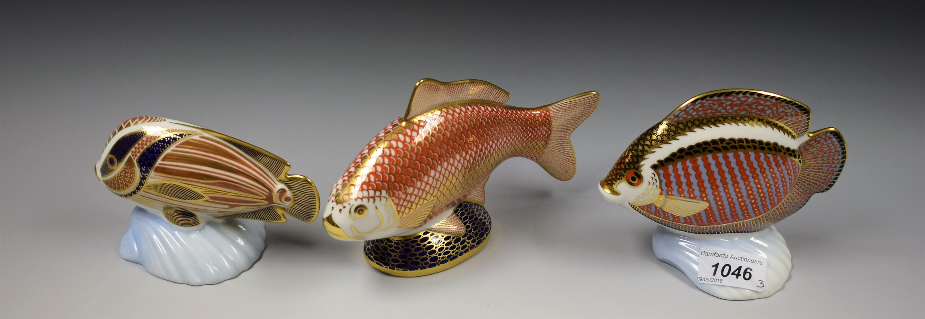 A Royal Crown Derby paperweight, Tropical Fish Sweetlips, second quality; others, Gourami,