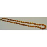 A graduated butterscotch amber necklace (10.