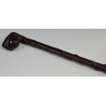 A blackthorn walking stick, twisted handle,